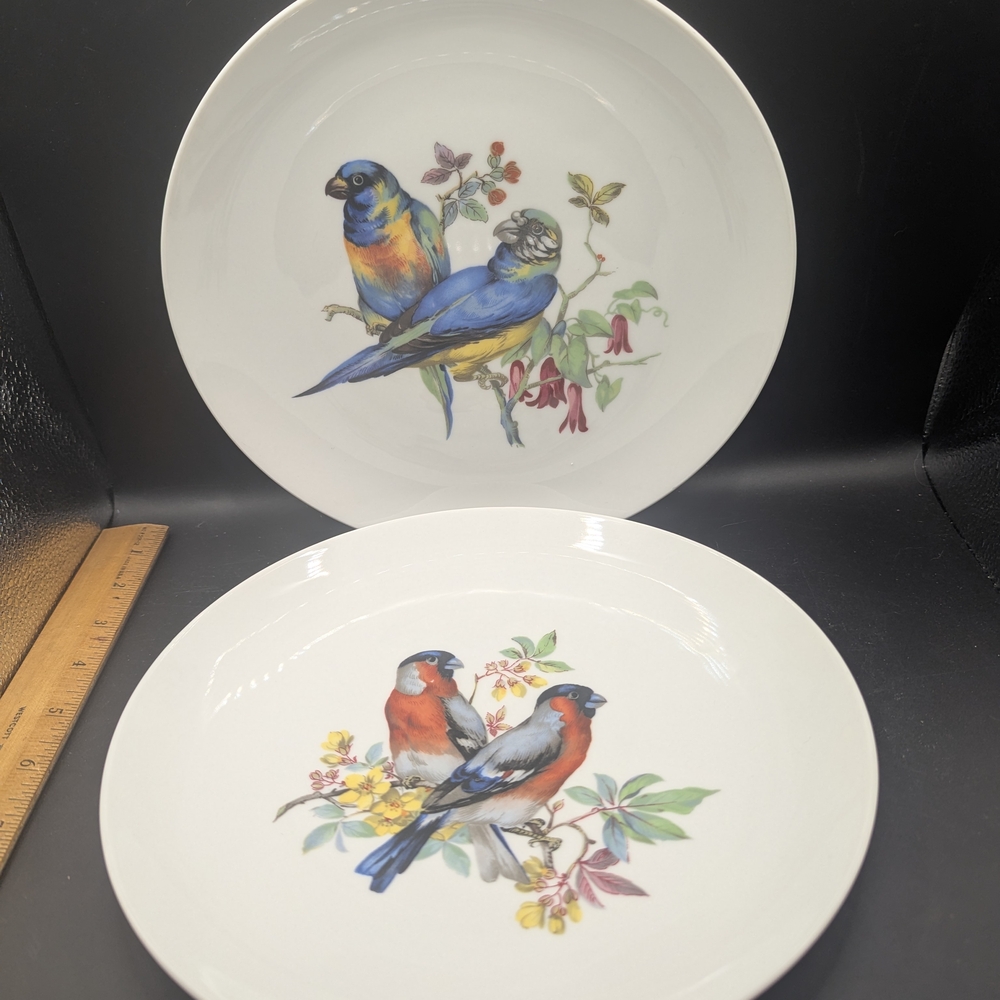 Vintage Set of 2 AK Kaiser 
W Germany Plates Featuring Vibrant Bird Illustration